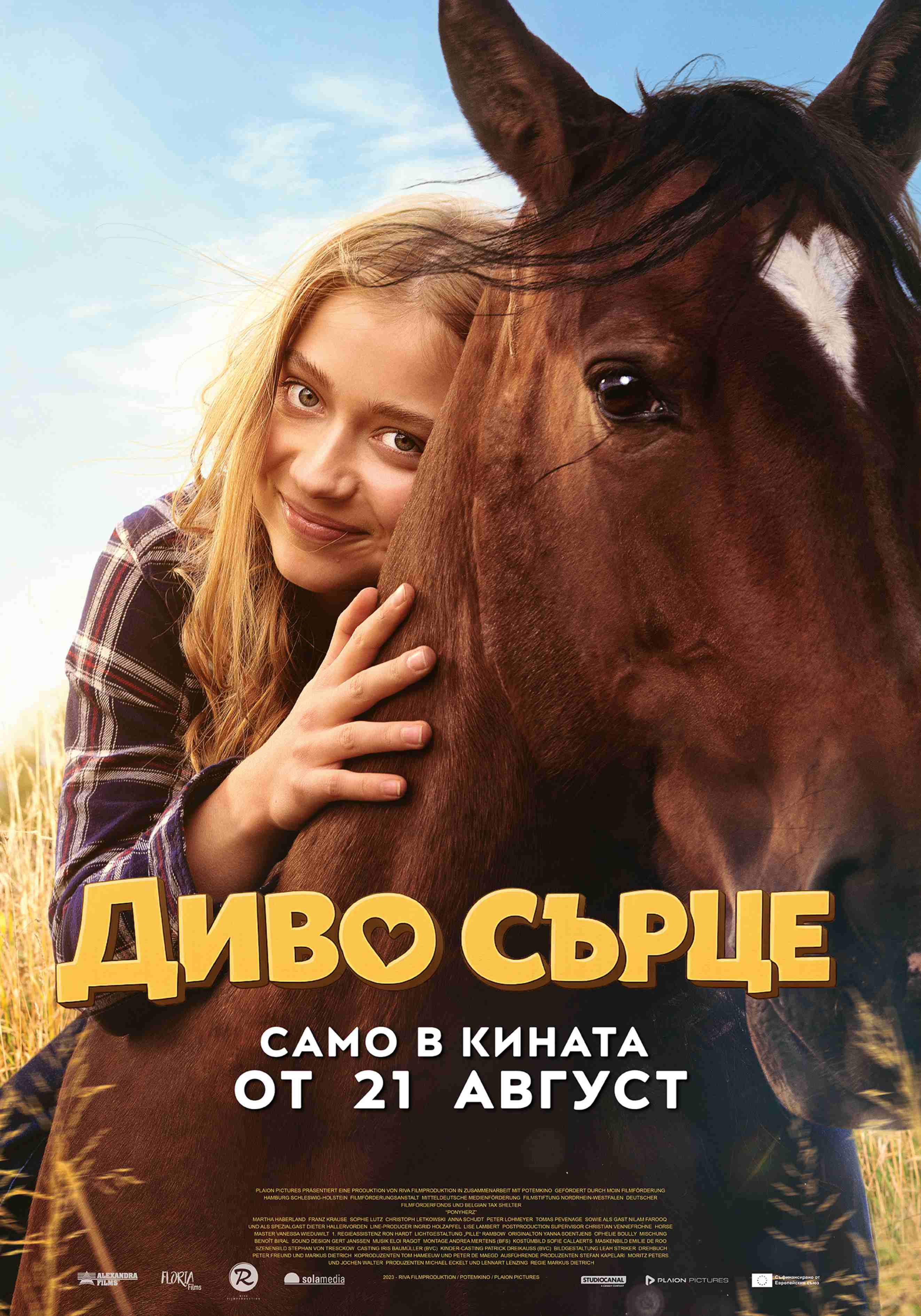 Плакат ''Диво сърце''