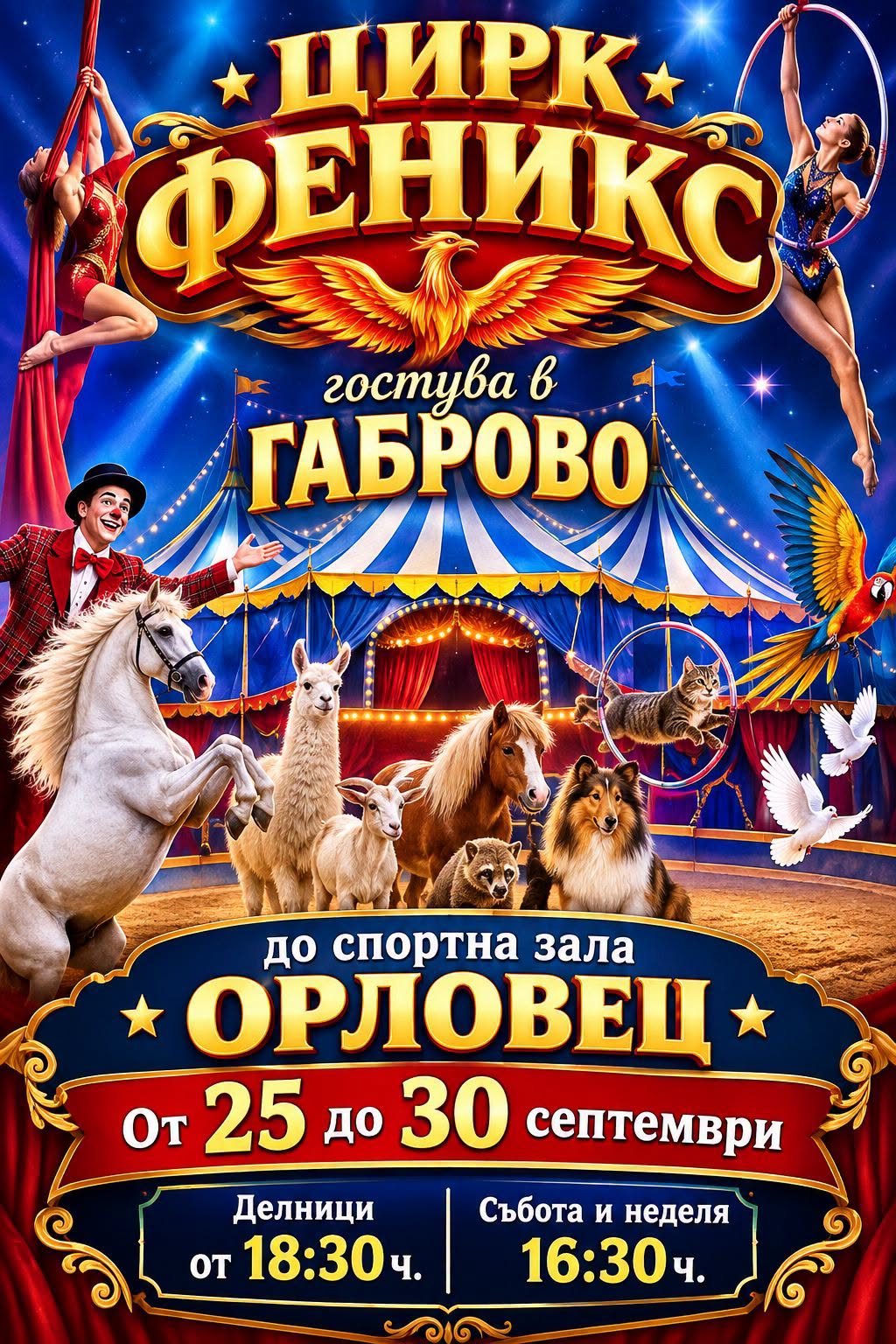 Цирк Феникс гостува в Габрово