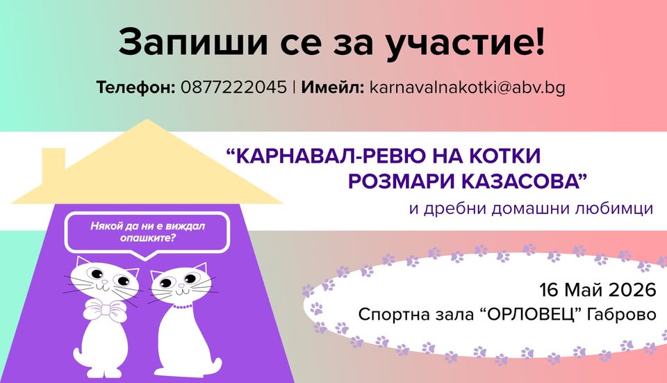 Плакат за Конкурс - ревю на котки и дребни домашни любимци